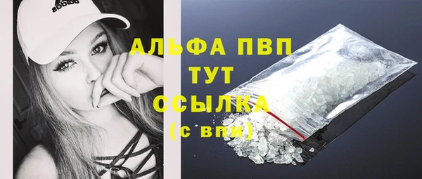 MESCALINE Бородино