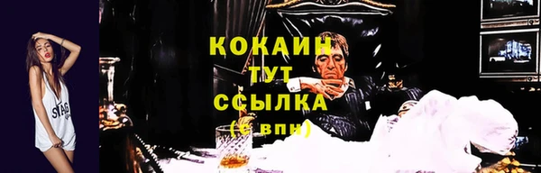 MESCALINE Бородино