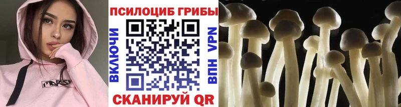 Галлюциногенные грибы мухоморы  Купить закладки  Красавино 