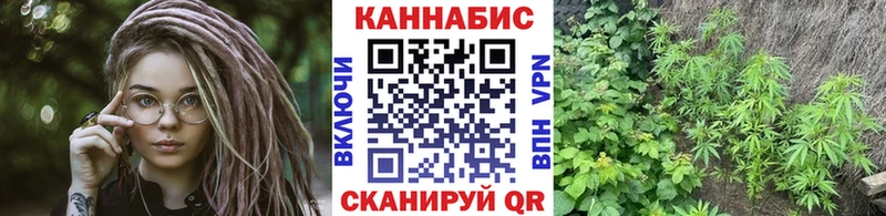 Купить где  Красавино  Бошки Шишки OG Kush 